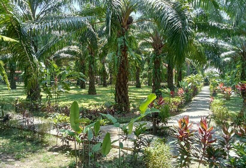 Отель Khao Sok Palm Garden Resort