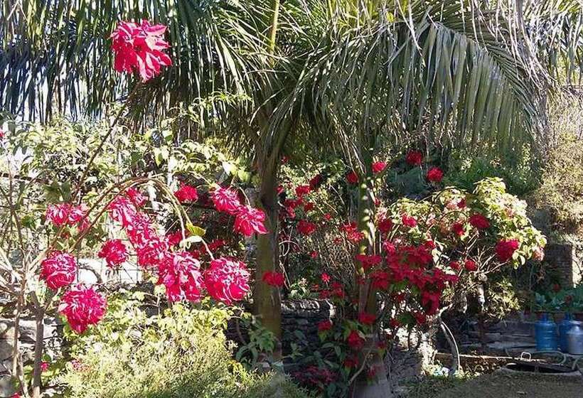 هتل Bandipur Palace