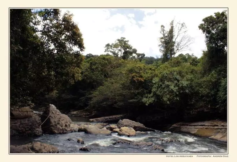 ホテル Campestre Los Arrayanes