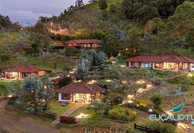 ホテル Eucaliptus Spa Resort