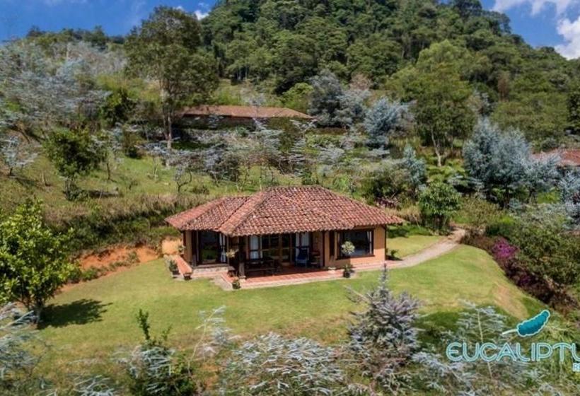 ホテル Eucaliptus Spa Resort