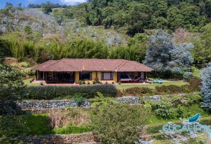 ホテル Eucaliptus Spa Resort