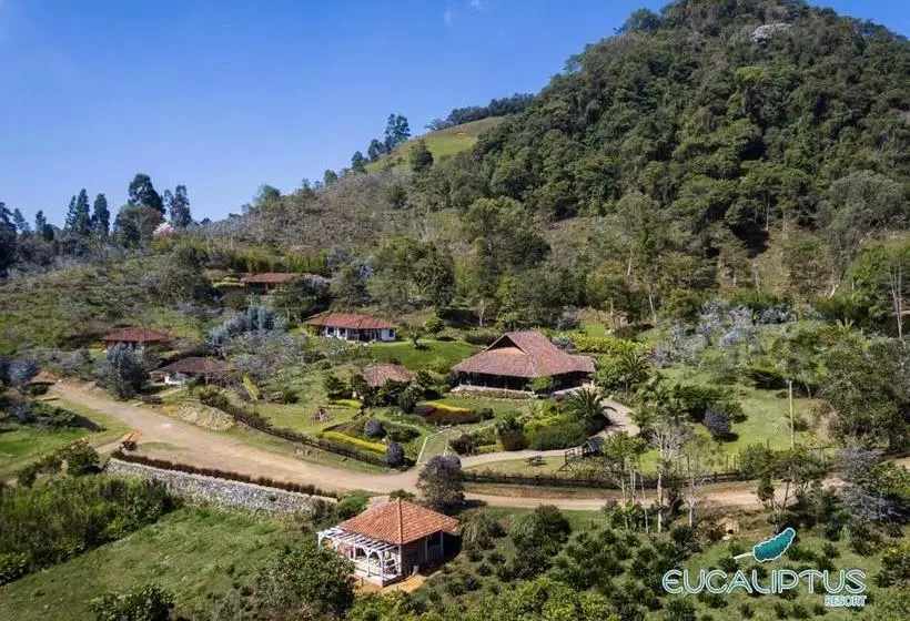 ホテル Eucaliptus Spa Resort