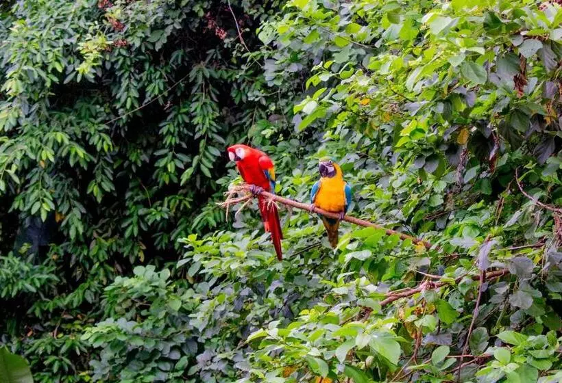 Hotelli Senda Maloka Barlovento