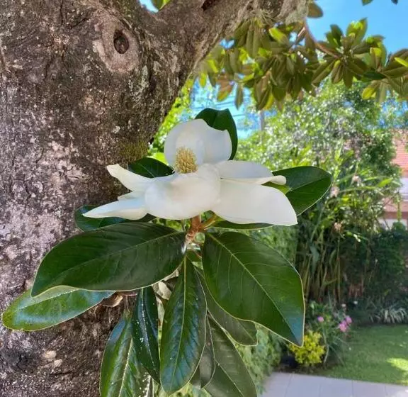 Lo De Lala B&b Con Energía Solar