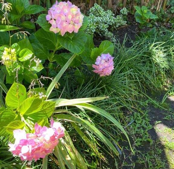 Lo De Lala B&b Con Energía Solar