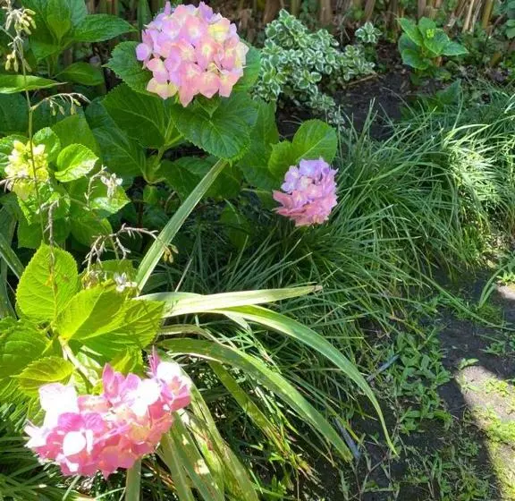 Lo De Lala B&b Con Energía Solar