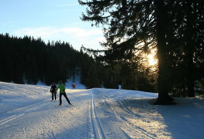 ペンション Au Coeur Du Lapidaire