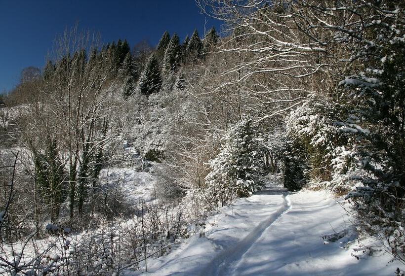 ペンション Au Coeur Du Lapidaire