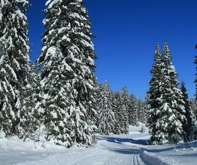 ペンション Au Coeur Du Lapidaire