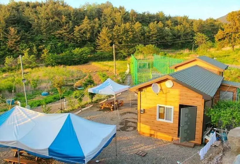 Sea And Sunset Pension