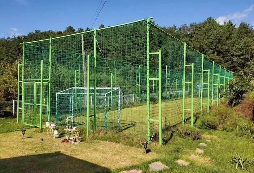 Sea And Sunset Pension