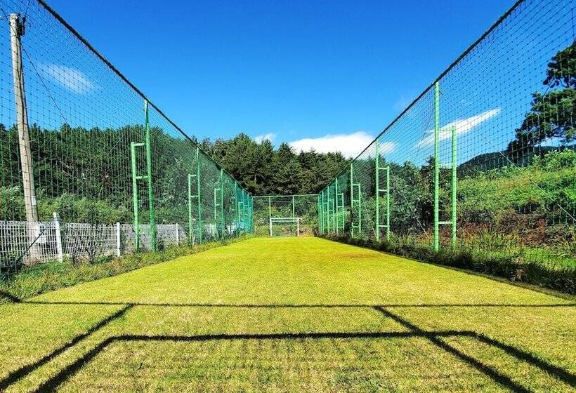 Sea And Sunset Pension