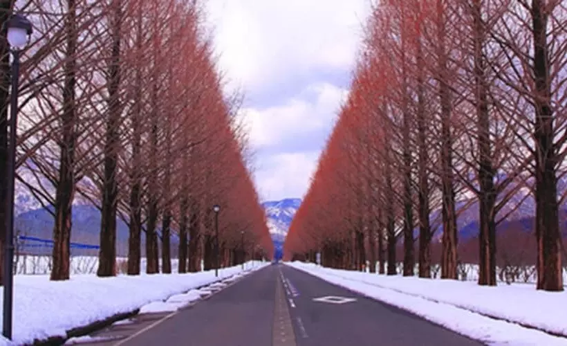 Hotelli Racine Home Harie