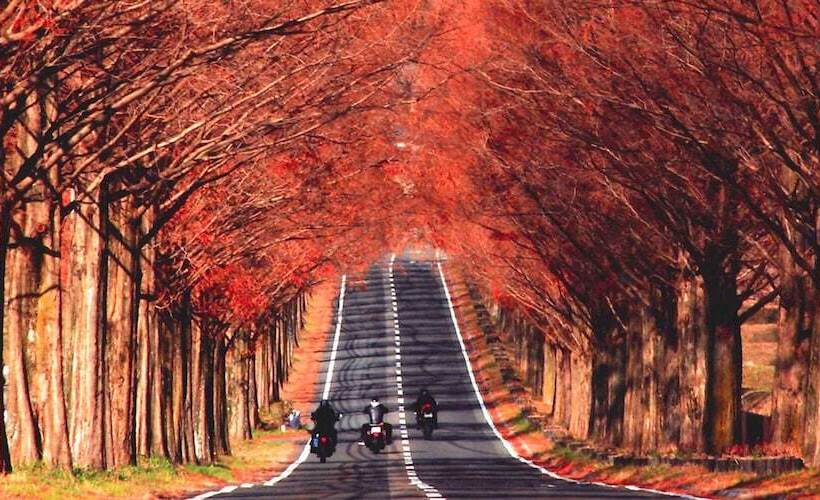 Отель Racine Home Harie