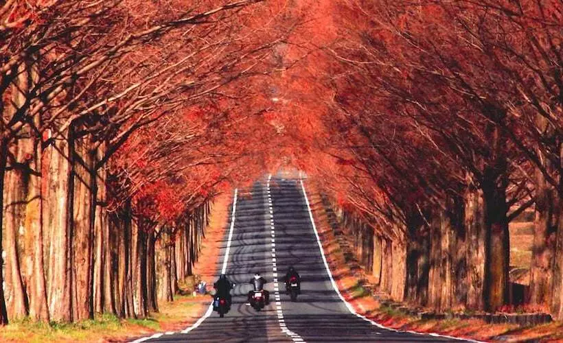 Hotelli Racine Home Harie