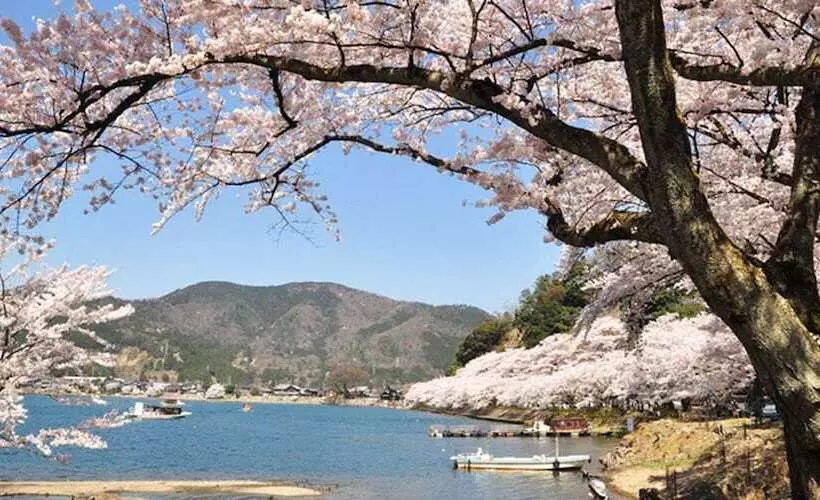 Hotelli Racine Home Harie