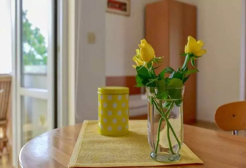 Spacious Apartment In Sukosan With Balcony