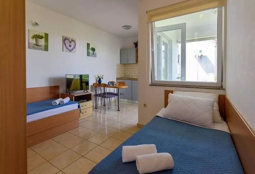 Spacious Apartment In Sukosan With Balcony