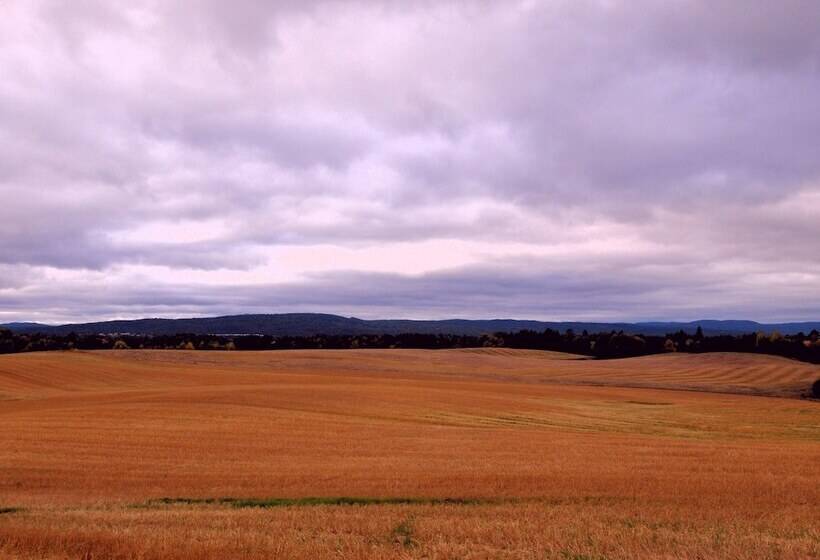 Bedder At Oslo Airport