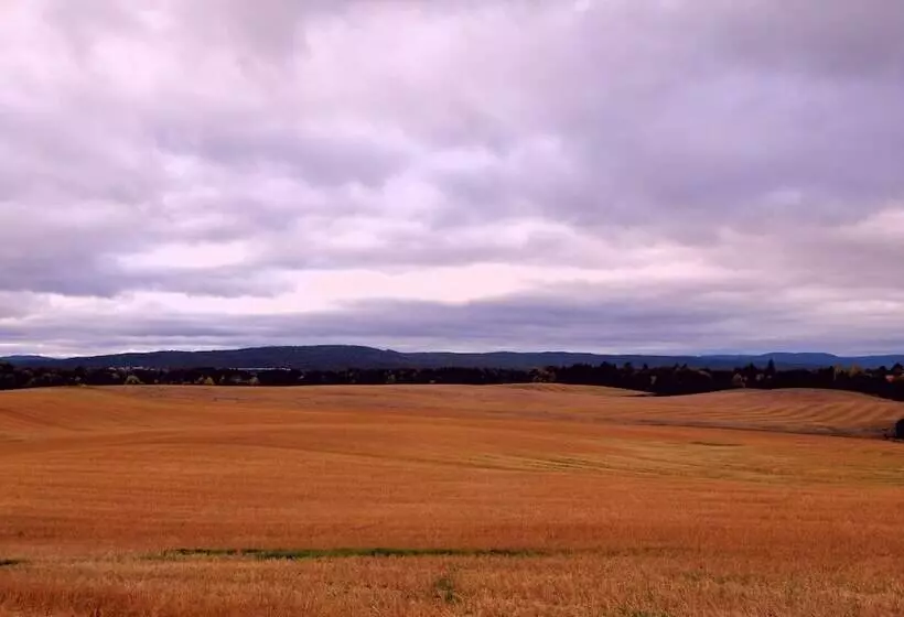 Bedder At Oslo Airport