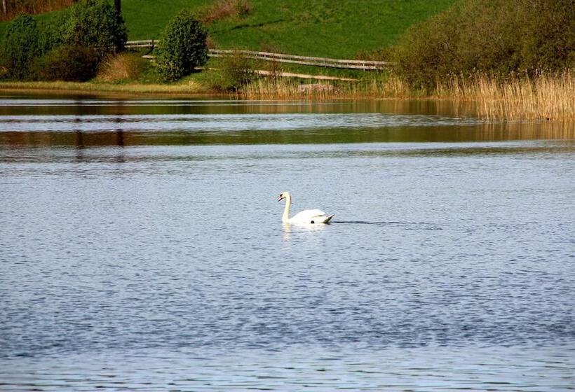 Bedder At Oslo Airport