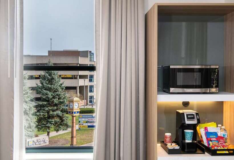 酒店 Hilton Garden Inn Flint Downtown