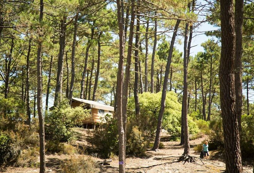 فندق Huttopia Lac De Carcans