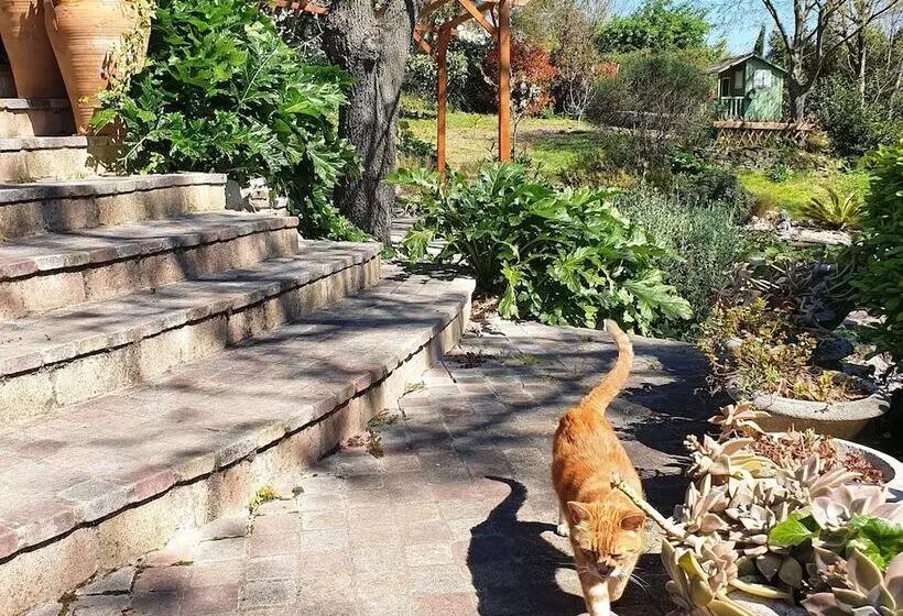 Majatalo Montèze Paradis