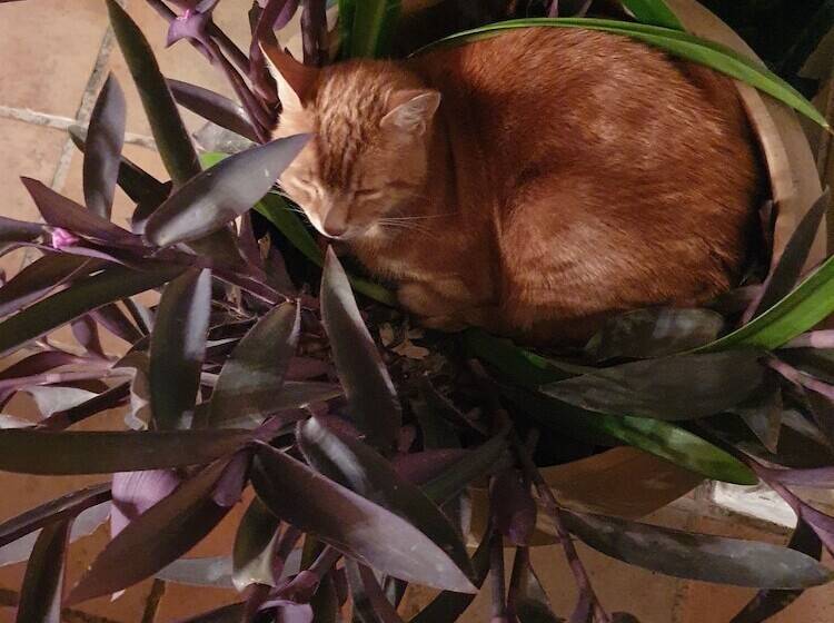 펜션 Montèze Paradis