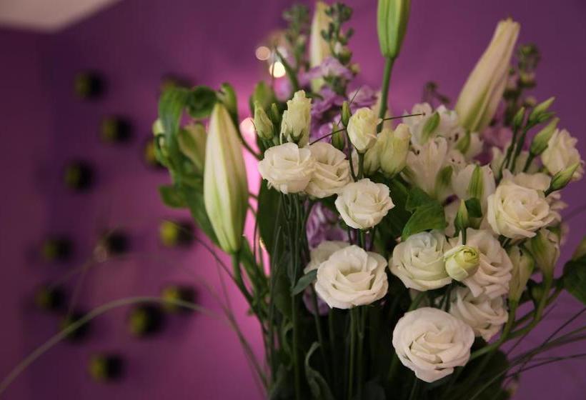 בית מלון כפרי Icône Hôtel Annecy