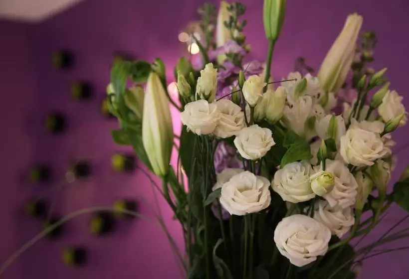 Отель Icône Hôtel  Annecy