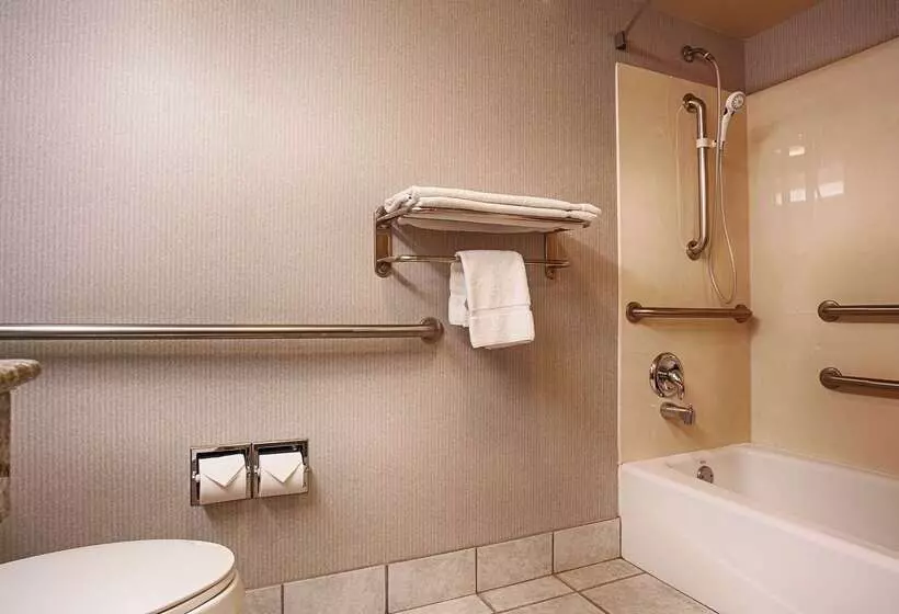 בית מלון כפרי Best Western Borger Inn