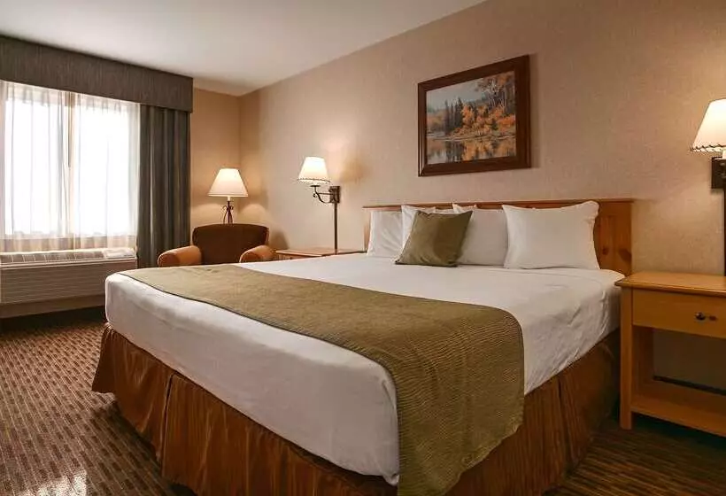 ホテル Best Western Holiday Hills