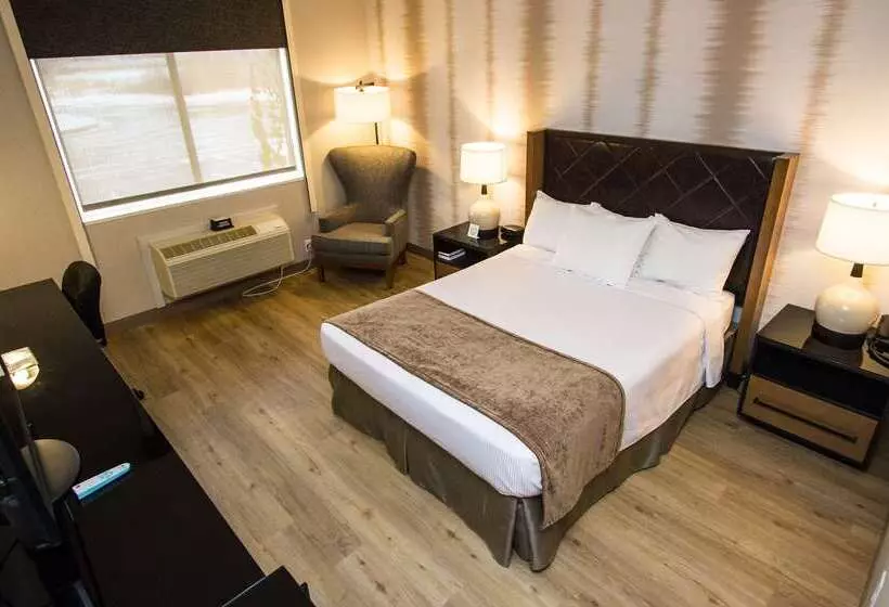 ホテル Best Western Holiday Hills