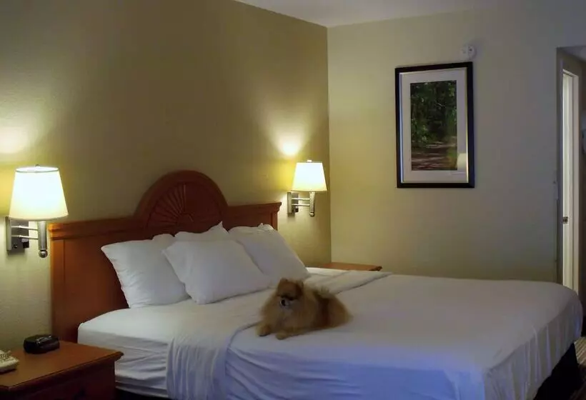 בית מלון כפרי Best Western Of Murphy