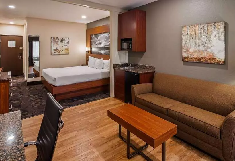ホテル Best Western Plus Oklahoma City Yukon