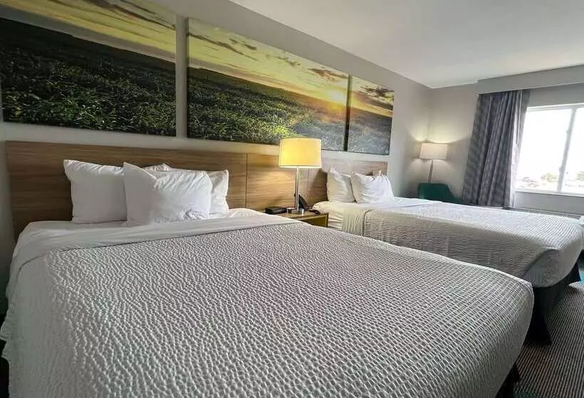 ホテル Days Inn & Suites By Wyndham Of Morris