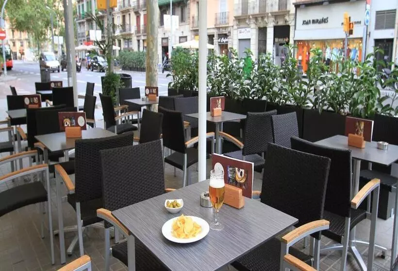 Отель Garbi Millenni