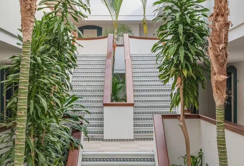 ホテル Iberostar Waves Royal Andalus