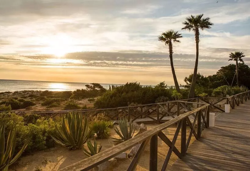 ホテル Iberostar Waves Royal Andalus