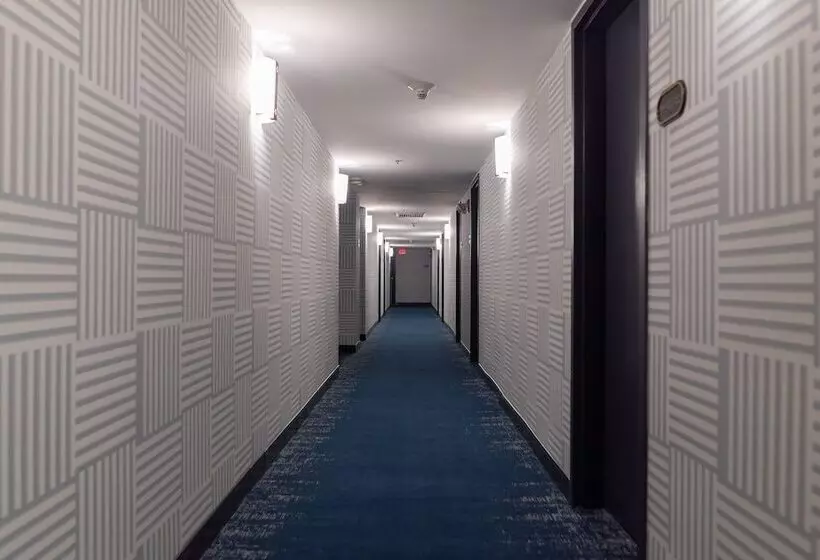 Отель Indigo Detroit Downtown, An Ihg