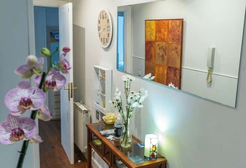 فندق Pension Anne