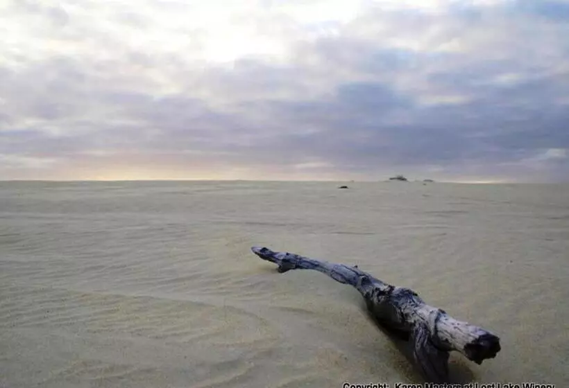 酒店 The Pemberton