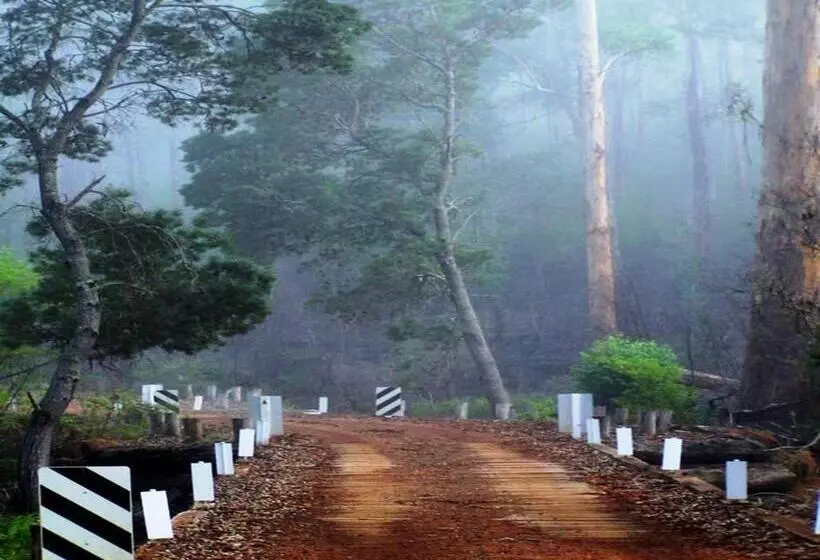 酒店 The Pemberton