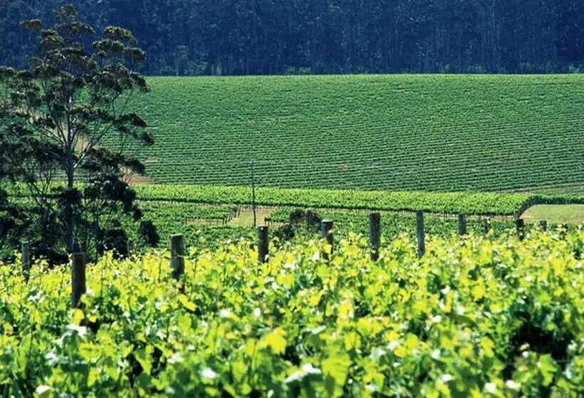 酒店 The Pemberton