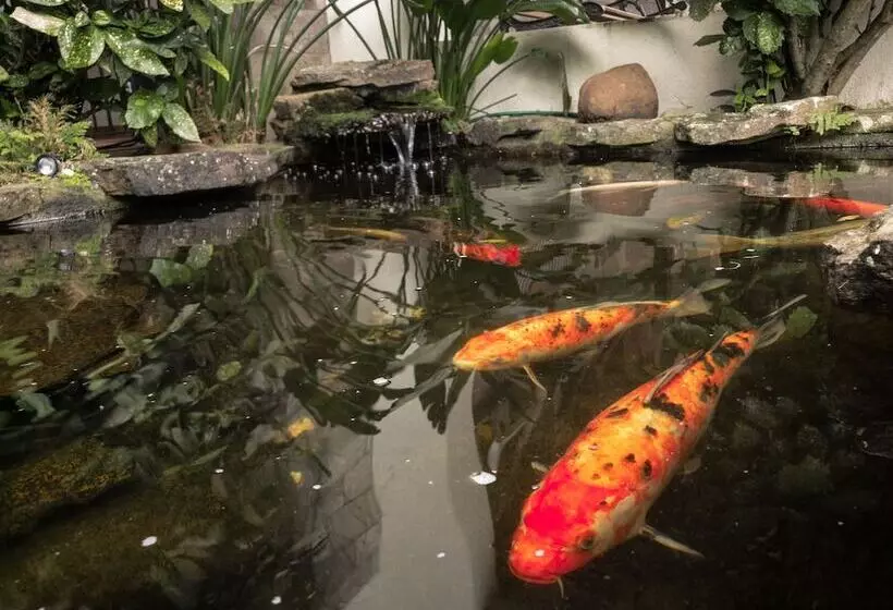 Hotelli Pousada Serrana