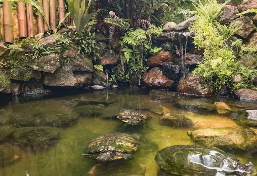 Hotelli Pousada Serrana