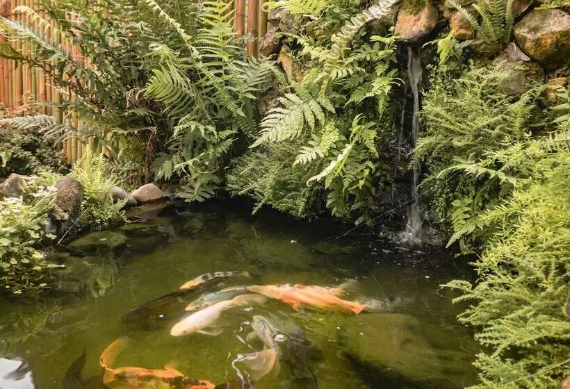 Hotelli Pousada Serrana