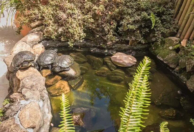 Hotelli Pousada Serrana